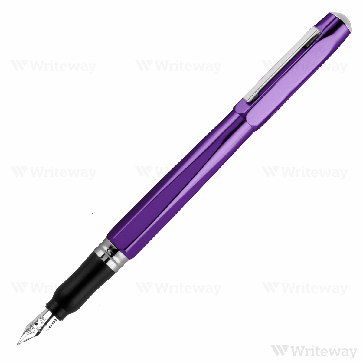 OHTO-DUDE FOUNTAIN PEN-PURPLE
